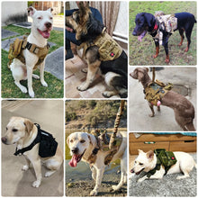 Load image into Gallery viewer, Large Dog Collar Military Dog Harness And Leash Set Pet Training Vest
