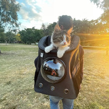 Load image into Gallery viewer, Fat Cat Backpack Carrier - Airline Approved
