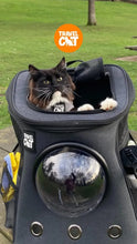 Load image into Gallery viewer, Fat Cat Backpack Carrier - Airline Approved
