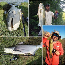 Load image into Gallery viewer, Goture Xceed 4 Setions Travel Fishing Rod
